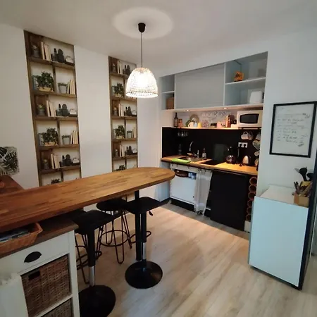 Avec Jardin A Pied Plages Et Commerces Saint-Palais-sur-Mer