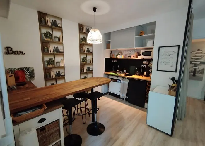 Avec Jardin A Pied Plages Et Commerces Saint-Palais-sur-Mer